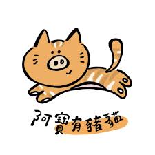 阿寶有豬貓